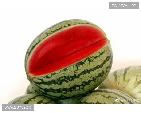 51免费吃瓜网站的使用技巧与注意事项